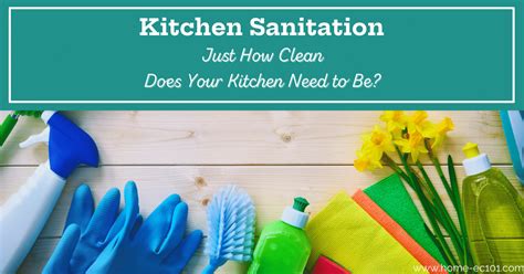 A Guide To Kitchen Disinfection And Sanitation Home Ec 101