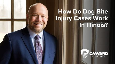 How Do Dog Bite Injury Cases Work In Illinois