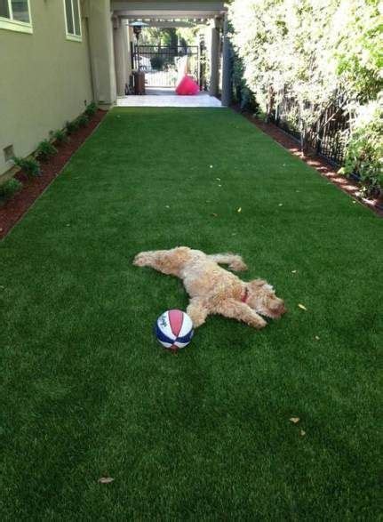 42+ Trendy backyard landscaping for dogs artificial turf# ... Dogs need plenty of space to exercise and love to spend time off their leashes.