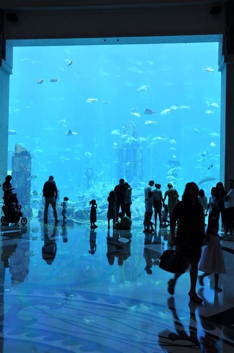 Atlantis Aquarium Aquarium Abdeckung