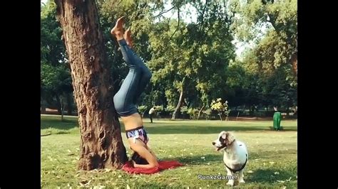 Amala Paul Latest Hot Yoga Video Dailymotion