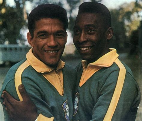 The word garrincha itself means wren. Mané Garrincha - Rede Angola - Notícias independentes ...