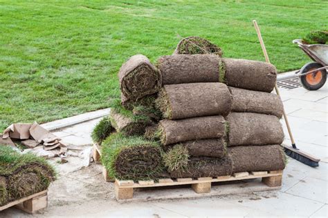 How big is 1000 square feet in feet? How Many Square Feet are on a Pallet of Sod? | Big Earth ...