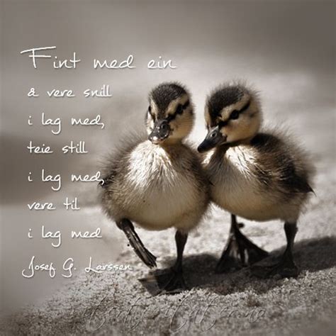 Here are some quotes to inspire you; 119 best images about Sitater og ordtak (quotes and ...