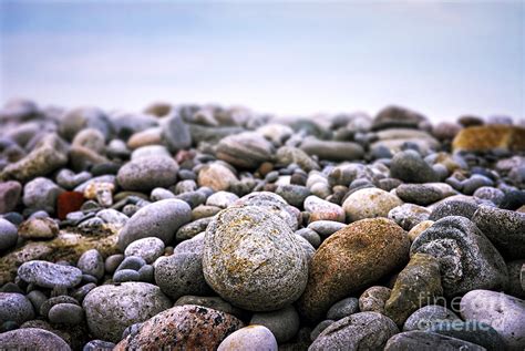 Beach Pebbles Photograph By Elena Elisseeva