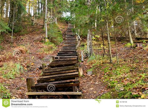 Old Wooden Stairs In The Forest Stock Photo Image Of Forest Pass