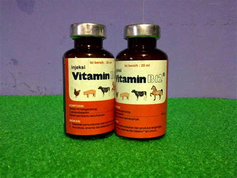 Vitamin b12 adalah salah satu vitamin terbesar dan paling kompleks. FUNGSI,MANFAAT DAN CARA PENGGUNAAN INJEKSI VITAMIN B12 ...