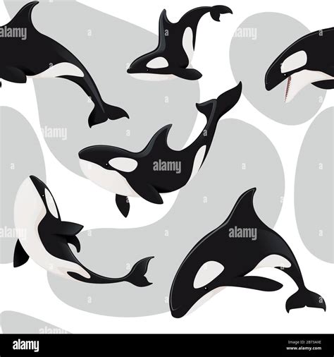 Seamless Pattern Of Killer Whale Orca Cartoon Animal Design Flat Vector