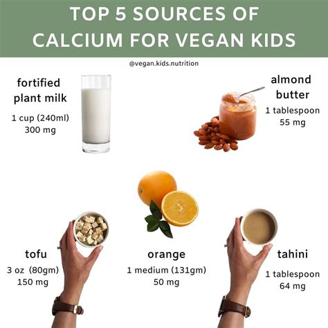 Top 5 Calcium Sources For Vegan Kids Vegan Kids Nutrition Blog