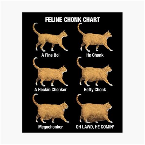 Cat Fat Chart Ubicaciondepersonascdmxgobmx