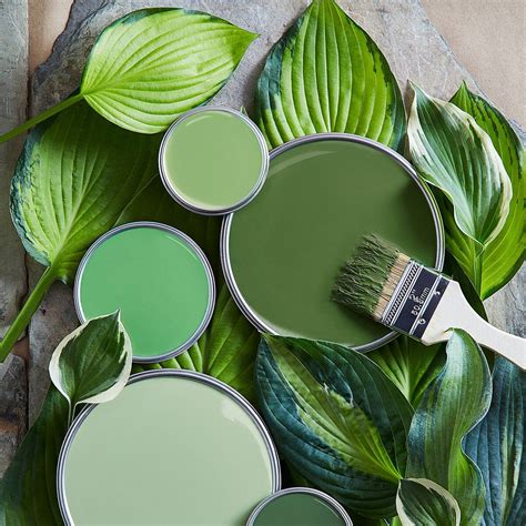 An In Depth Look At Green Color Paint Paint Colors