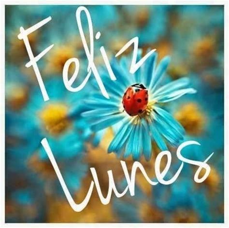 Lunes Frases Bonitas Frases Espirituales Feliz Lunes