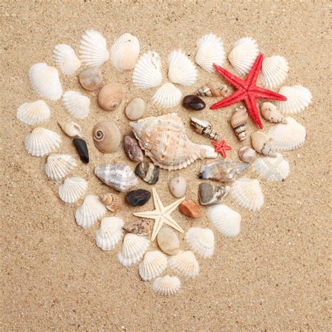 Heart Made With Shells Stock Photo Colourbox