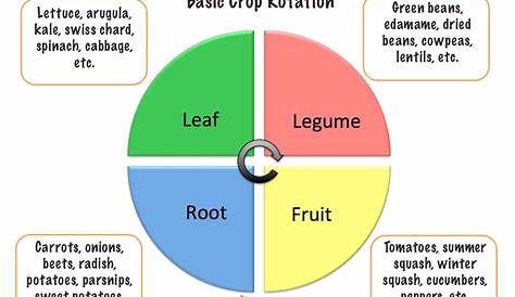 vegetable crop rotation chart