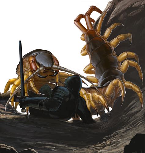 Monstrous Centipedes Rythiae Wiki Fandom Powered By Wikia