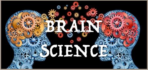 Brain Science Topp Kids Out Of School Clubs
