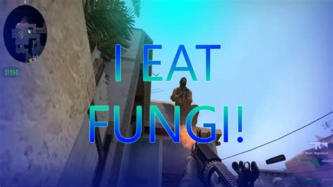 I Eat Fungi Youtube