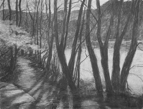 Katherine Meyer Artist Charcoal Drawings From Nature Path By The