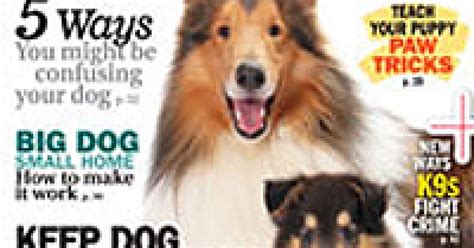 Dog Fancy Magazine Subscriber Services