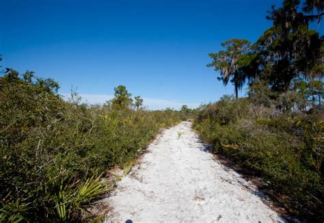 Lake June In Winter Scrub Preserve State Park Florida State Parks