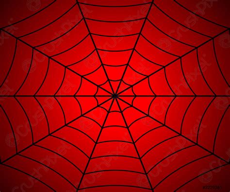 Spider Web Illustration Stock Vector Crushpixel