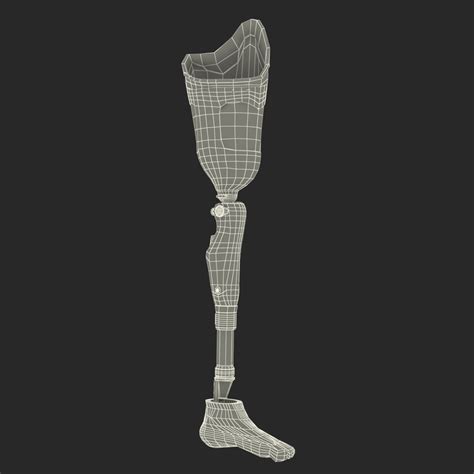 3d Prosthetic Leg Rigged