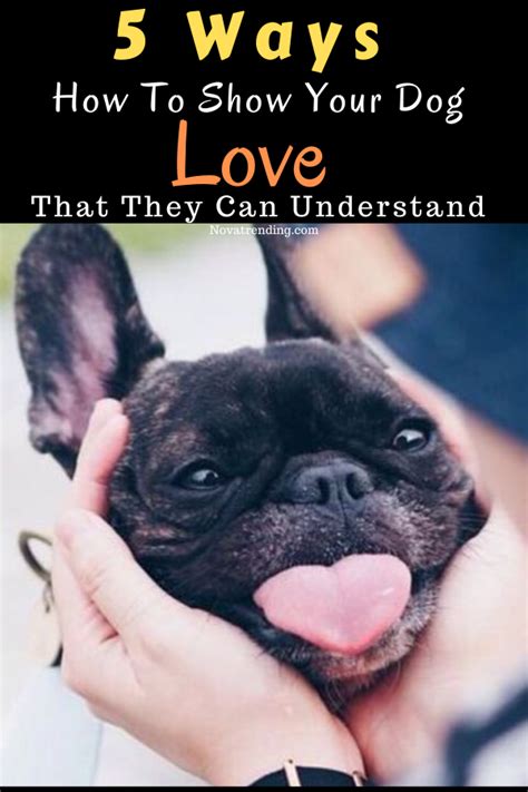 5 Ways How To Show Your Dog Love That They Can Understand Dog Love