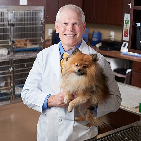 Midwestern university's animal health institute in glendale arizona, offers comprehensive community veterinary care and services for small and large animals. West Rome Animal Clinic | Veterinarians in Rome, GA