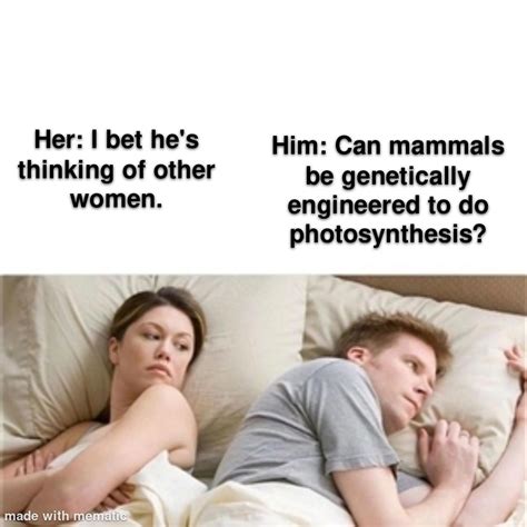 Can They Tho Rdankmemes I Bet Hes Thinking About Other Women