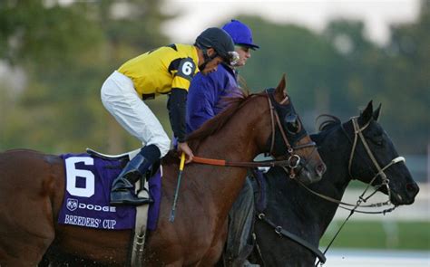 Terry S Blog Breeders Cup A Decade Ago West Point Thoroughbreds