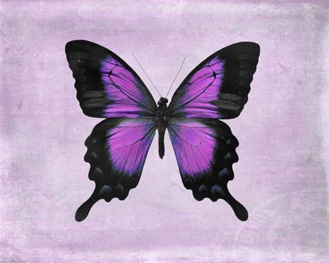 Butterfly Wall Art Purple Wall Art 10x8 Print Lavender Etsy
