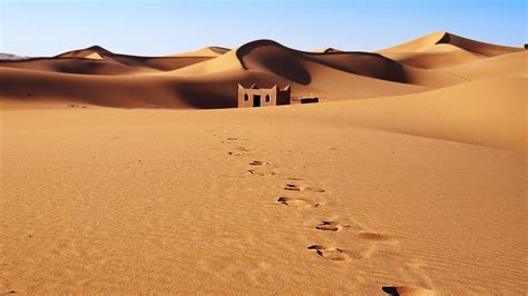 Desert Scenes Wallpapers Top Free Desert Scenes Backgrounds