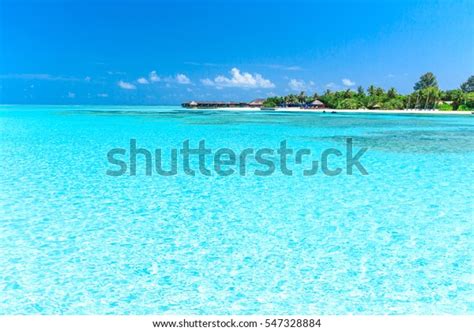 Tropical Beach Maldives Few Palm Trees Stock Photo Shutterstock