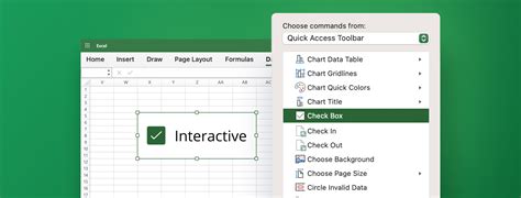 How To Add The Developer Tab In Excel Zebra Bi