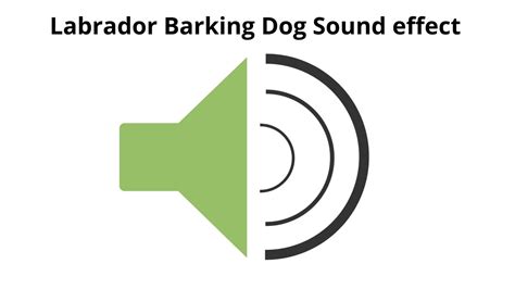 Dog Barking Sound Effect Labrador Barking Dog Youtube