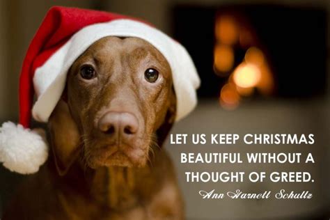 Christmas Quotes Presented By Dogs Pet Friendly House