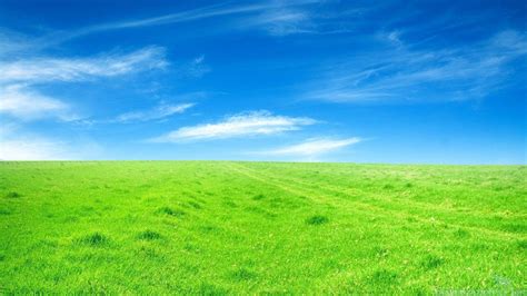 Beautiful Grassland Hd Static Wallpaper Collection Yl Computing