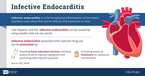 Infective Endocarditis National Institute On Drug Abuse Nida