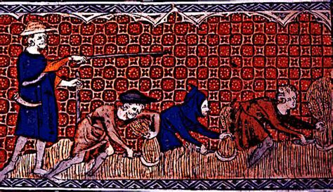 Freemen In Feudalism In The Middle Ages Turkbezy