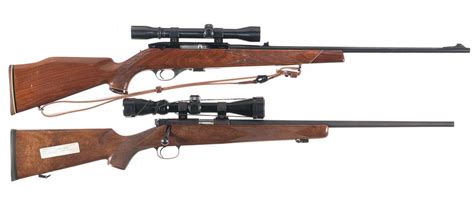 Two Scoped Rifles