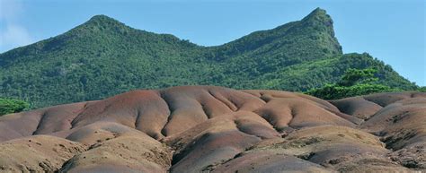 Excursion Package Flamboyant Ile Maurice Votre Devis En Ligne