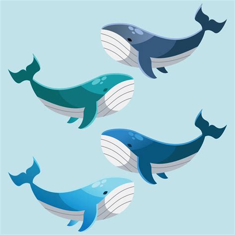 Vector Illustration Of Kawaii Cute Whale Characters Set Of Characters