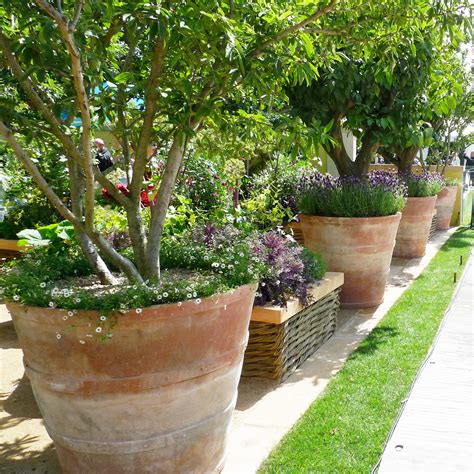 Italian Terrace How To Pot Up Exceptionally Large Terracotta Pots