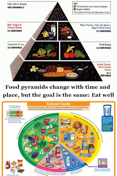 Food Guide Pyramid Salmah Info