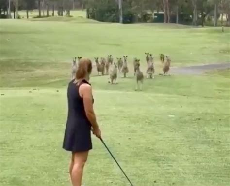 Stampede Of Kangaroos Bounce Towards Golf Sensation Wendy Powick As She