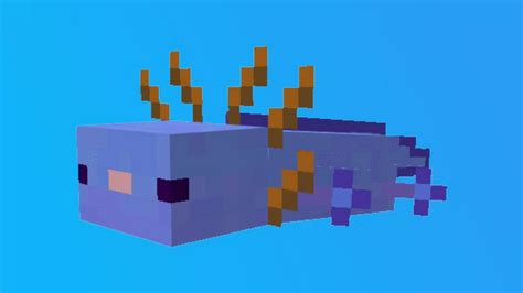 What Is The Rarest Axolotl Minecraft