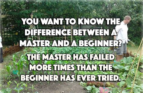 The Difference Between A Master And A Beginner Growing Food Gardening