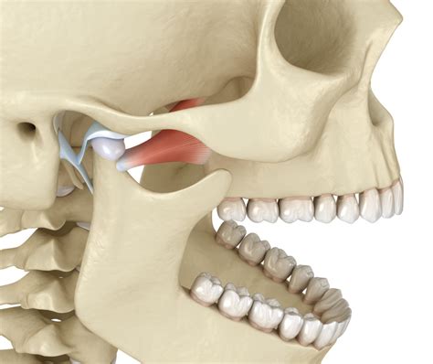 Temporomandibular Joint Disorders Rockcliff Oral And Facial Surgery