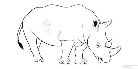 磊【2250】fáciles Dibujos De Rinocerontes Para Dibujar ⚡️