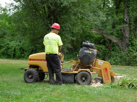 Kreta and son serves most of fairfield and new haven counties including stratford, bridgeport old tree stumps are eyesores! Tommy-Trees-Stump-Grinding-Orange-County-NY-P1066299 ...